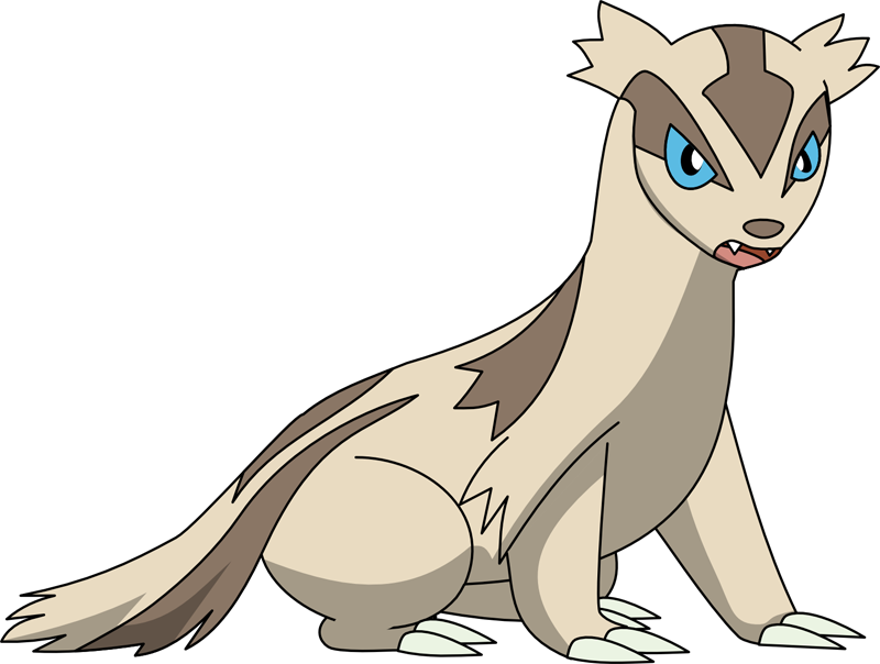 Pokemon Linoone (800x604), Png Download