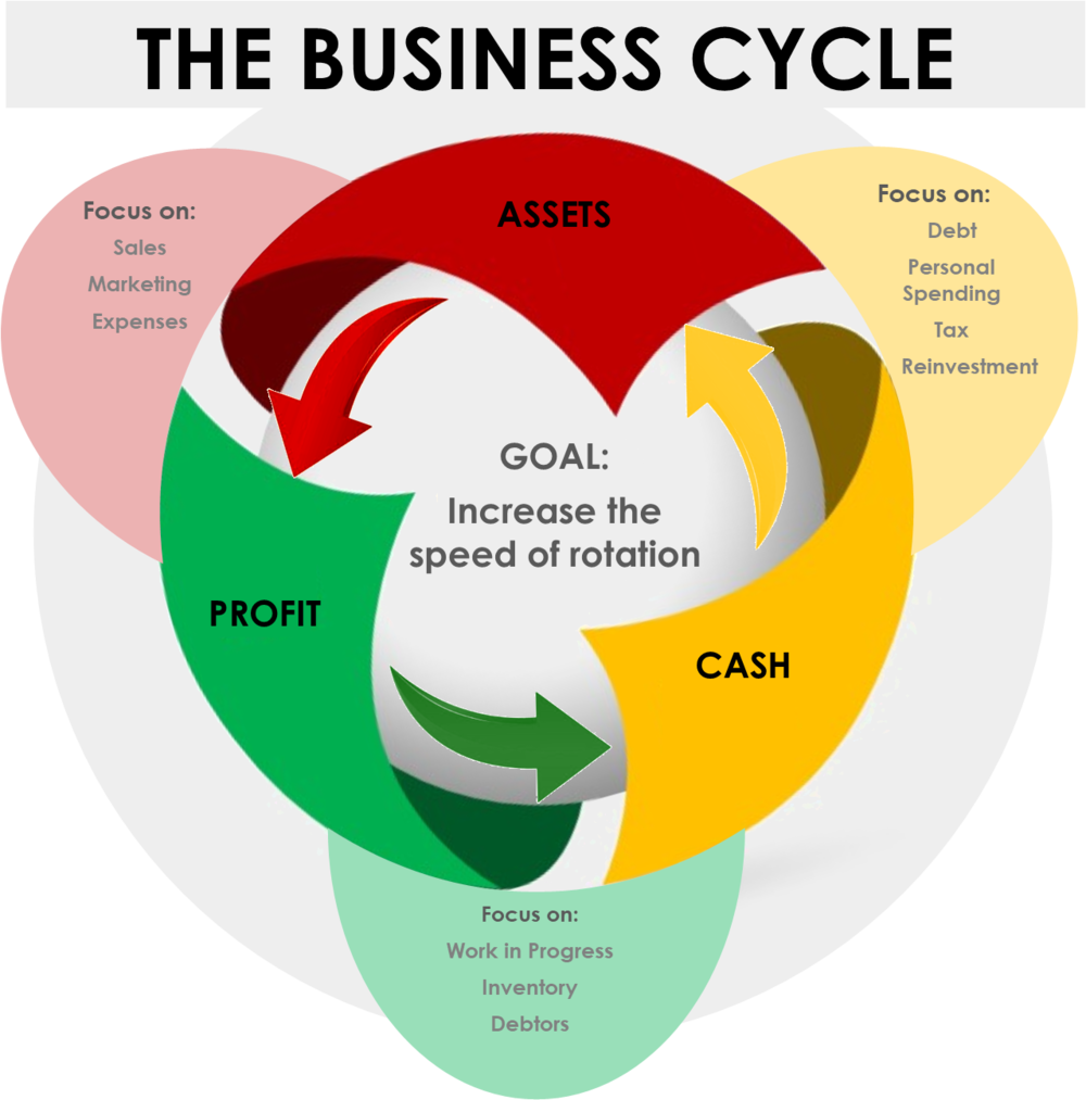 The Business Cycle - Miracle Tree (1000x1013), Png Download