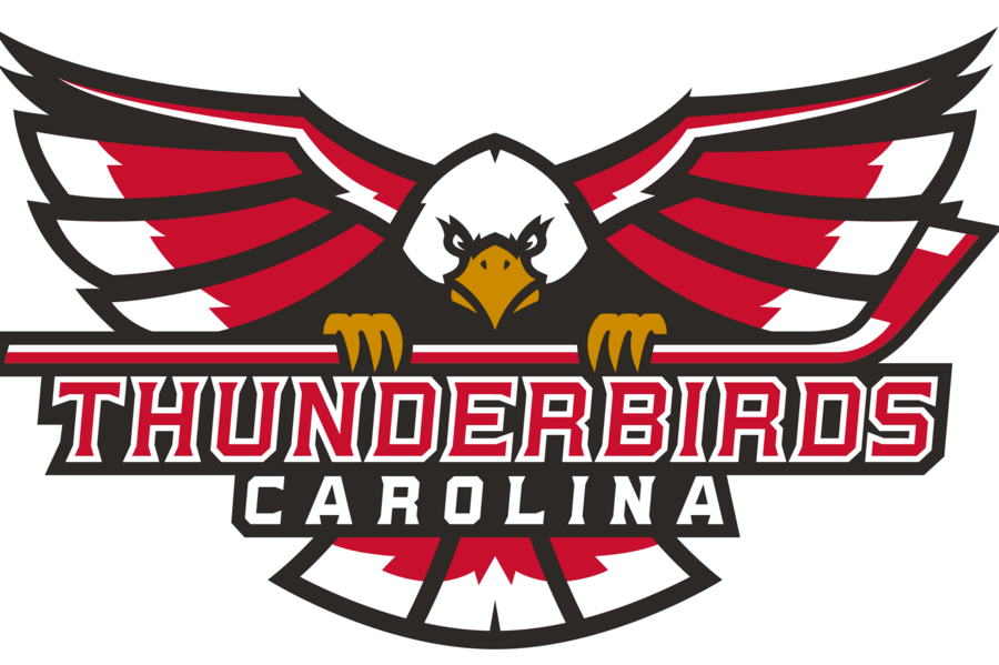 Logo*900xx2030 1353 68 0 - Winston Salem Thunderbirds Hockey Team (900x599), Png Download