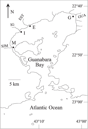 Location Of The Estuaries Of Guapimirim River , Estrela - Map (356x520), Png Download