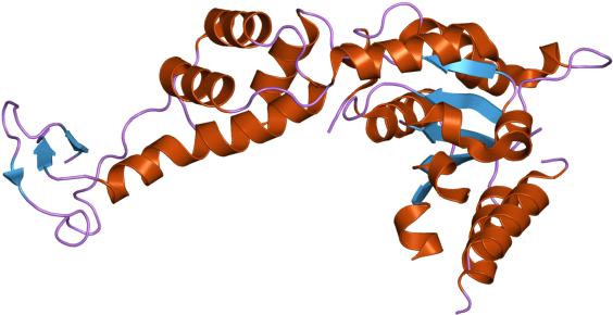 Pdb 2rko Ebi - Graphic Design (800x600), Png Download