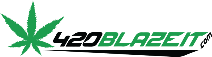 Shop Header - Graphics (743x200), Png Download