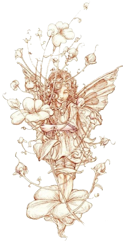 Jpg Download Flower Fairies Of The Wayside Elf Drawing - Gold Snowflake Vector (518x882), Png Download
