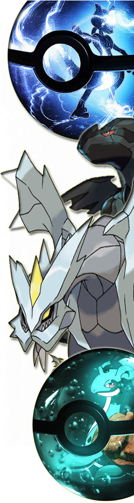 About Me Hey John Here I Put This Pokemon Emerald Rom - Pokémon Go Game Guide (english Version): (265x1000), Png Download