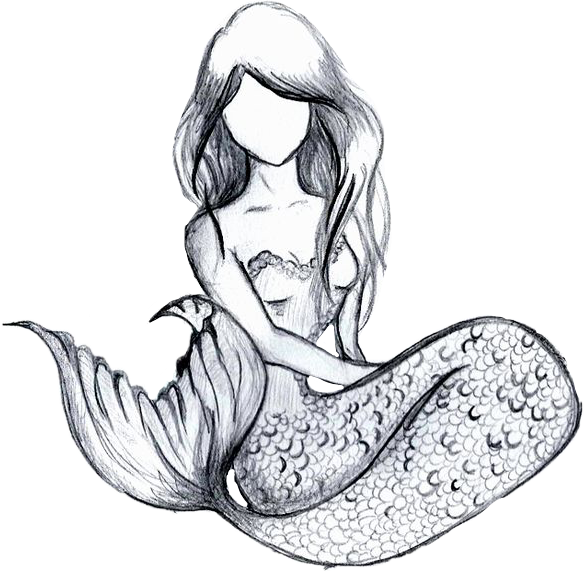 Picture Free Stock Drawing On Sketch - Easy Drawings Of Mermaid (584x572), Png Download