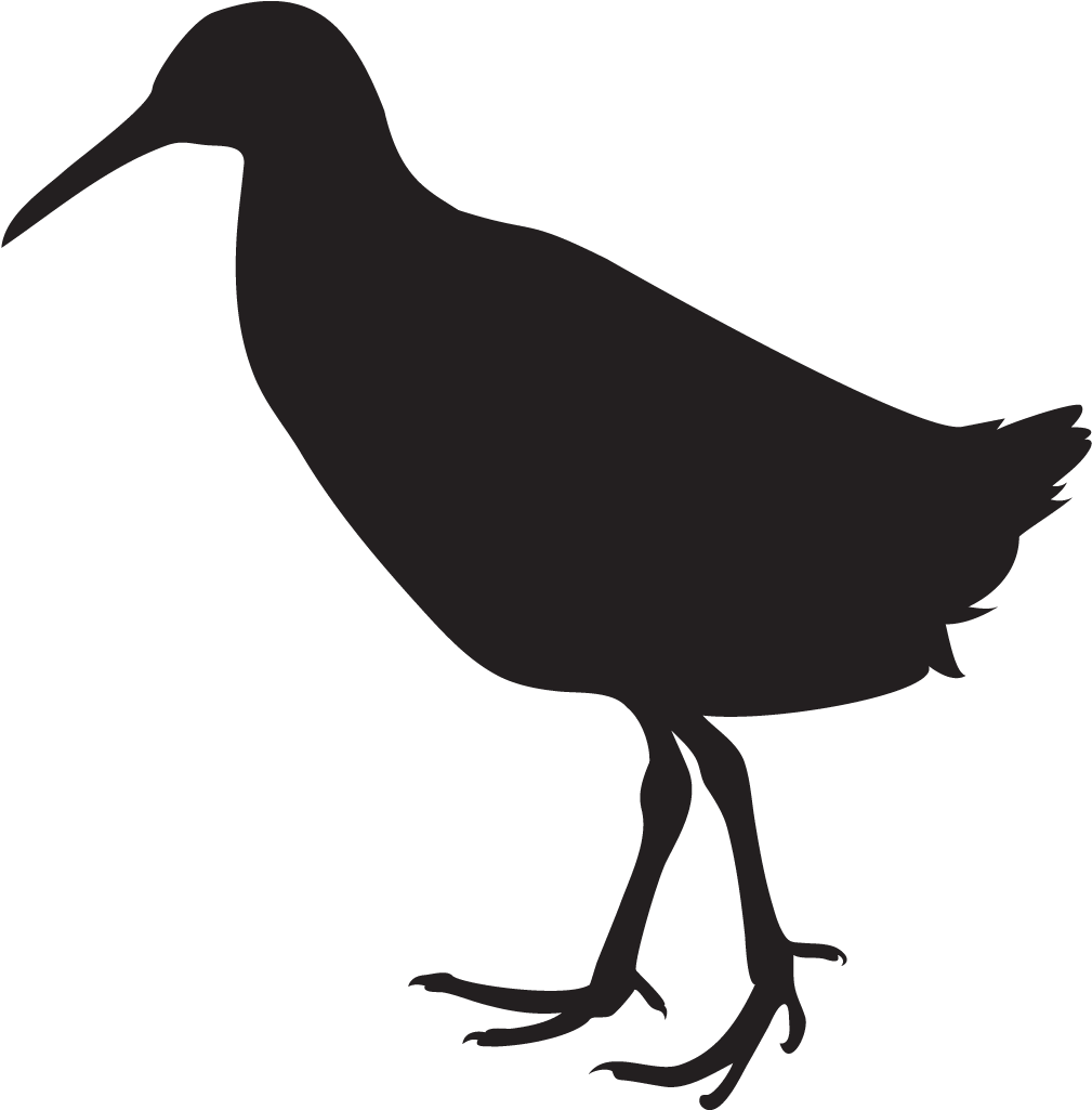 Rail Bird Silhouette (1024x1024), Png Download