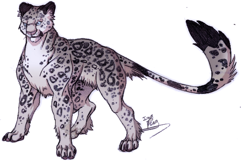 Snow Leopard By Izishjdnaefer-d4sw5o2 - Dibujo Leopardo De Las Nieves (1024x744), Png Download