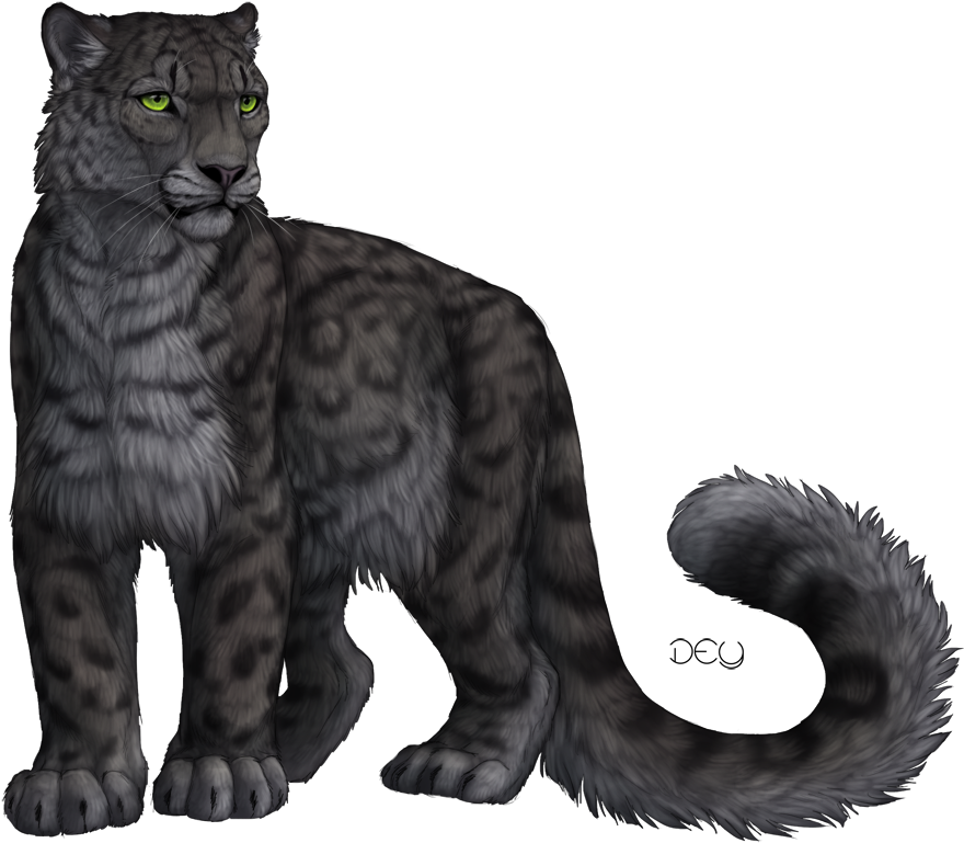Snow Leopard By Chireiya-d4dba22 - Snow Leopard Black Leopard (1000x881), Png Download