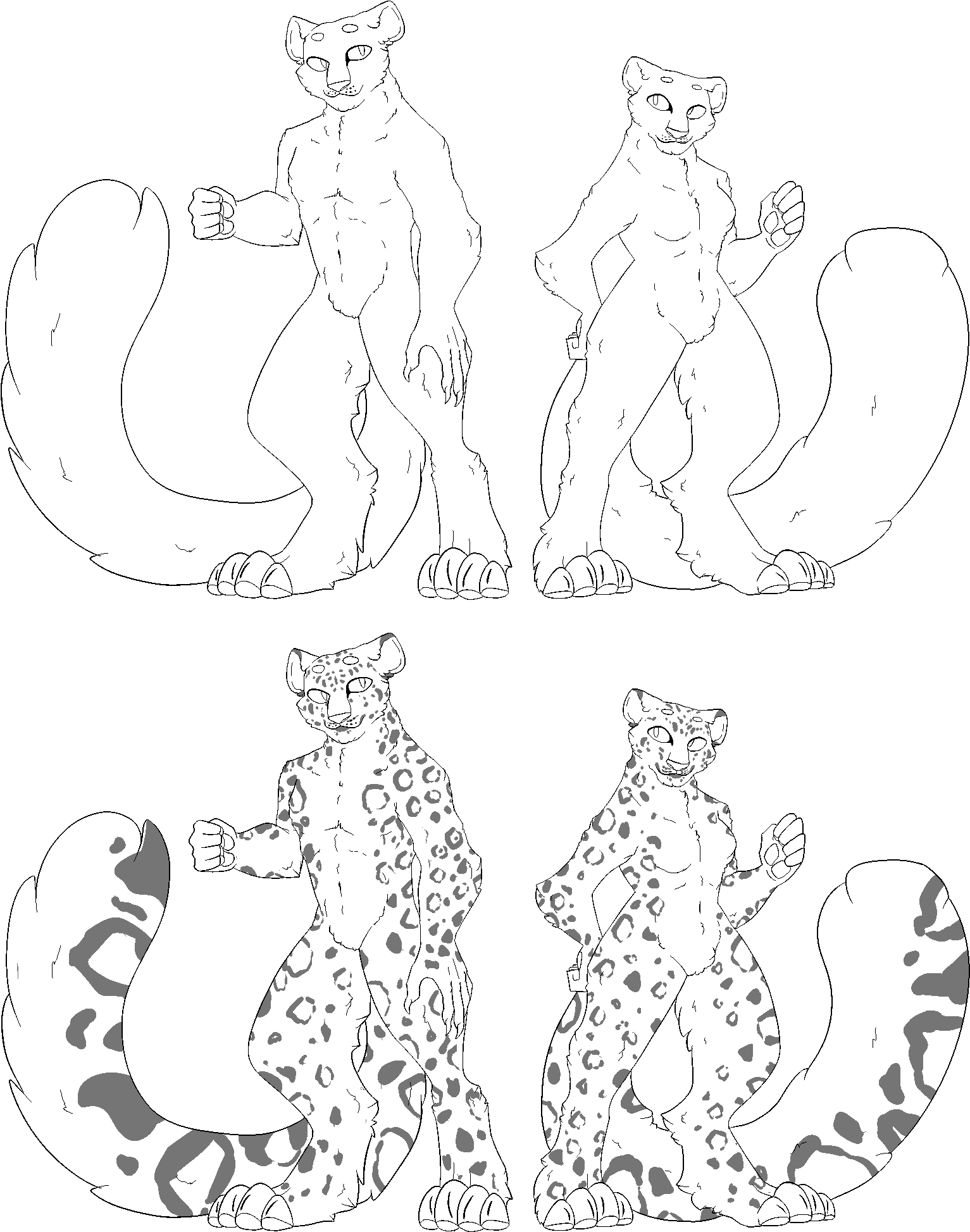 Snow Leopards At Getdrawings Com Free For - Line Art (1600x2000), Png Download