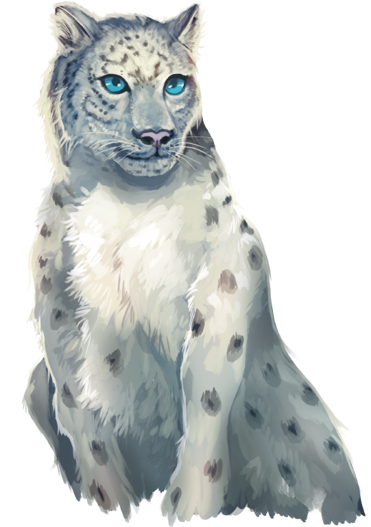 Snowleopard - Portable Network Graphics (541x768), Png Download