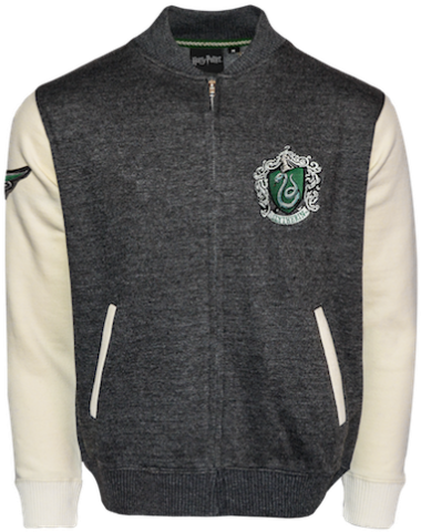 Slytherin House (480x507), Png Download