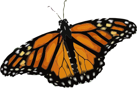 Butterfly Monarch Butterfly Danaus Plexipp - Save The Monarch Butterfly Ecology Tshirt (532x340), Png Download