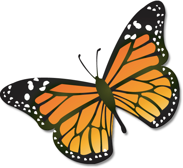 Monarch Butterfly Clipart (587x539), Png Download