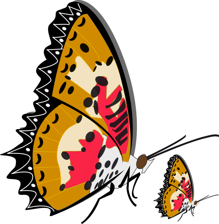 Monarch Butterfly Brush-footed Butterflies Insect Drawing - Mother And Baby Butterfly Shower Curtain (734x750), Png Download