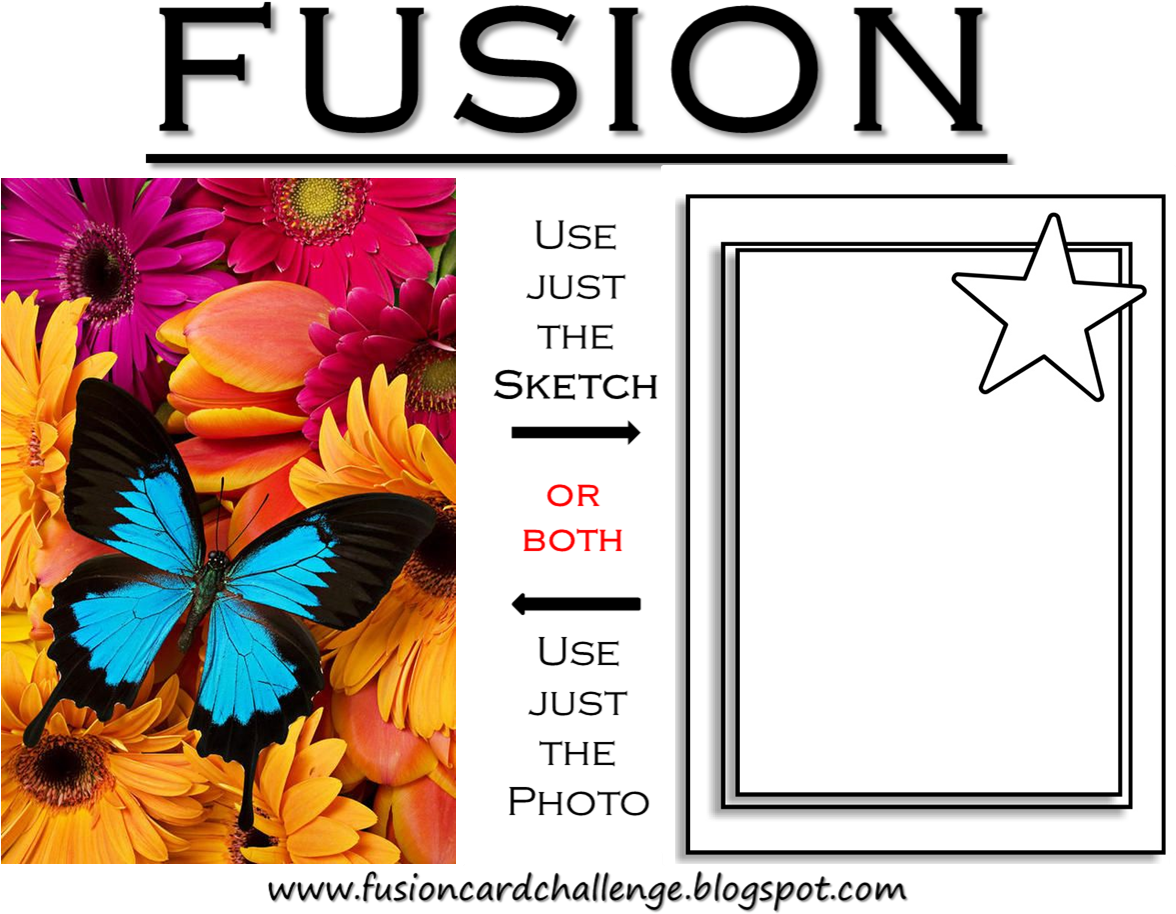 Fusion {bright Butterfly} - Fondos Pantalla De Mariposas (1175x1040), Png Download