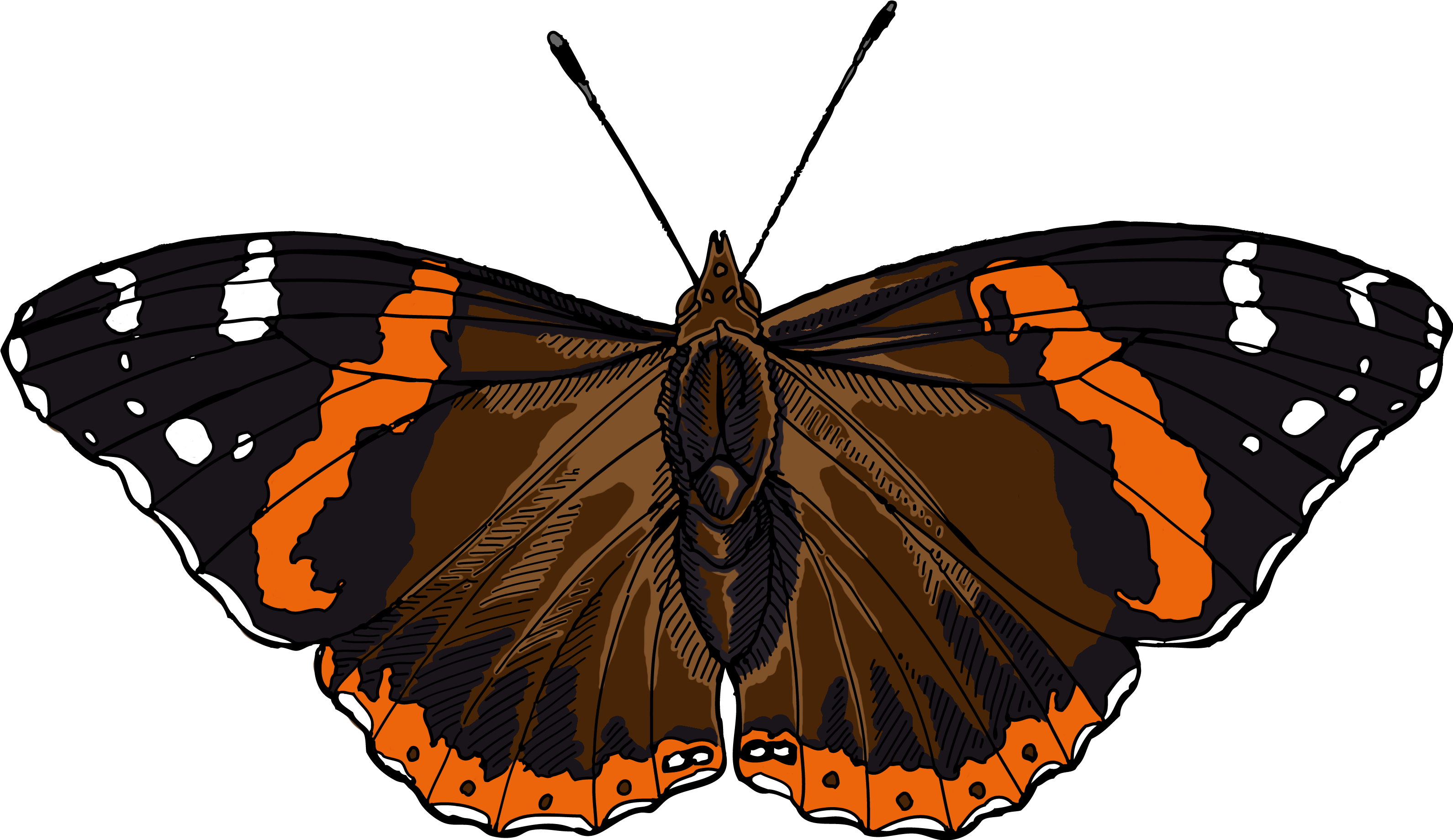 Red Admiral Butterfly Clipart (3300x2100), Png Download