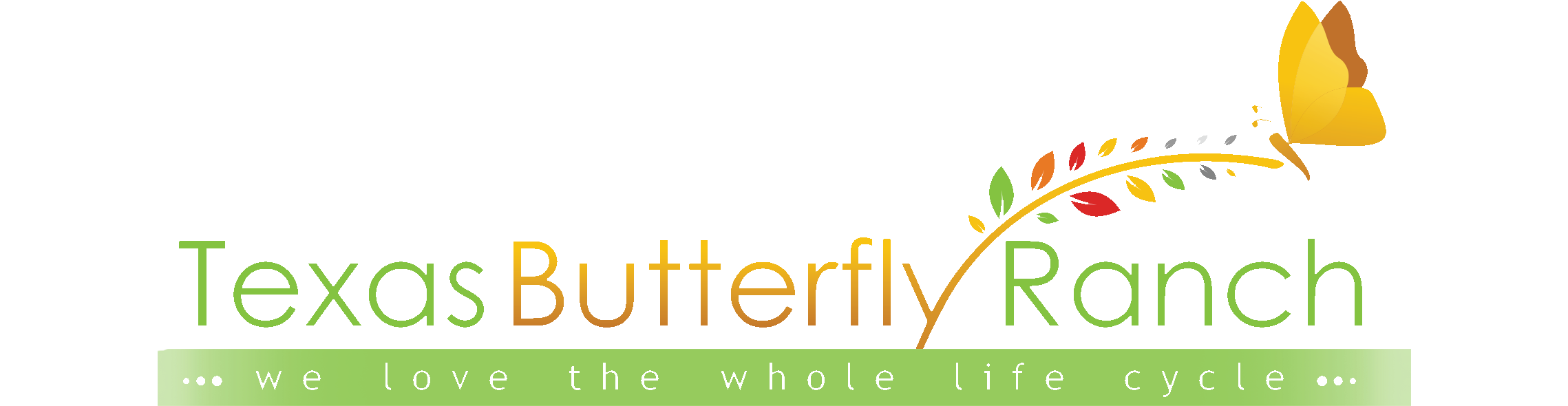 2017 Monarch Butterfly And Pollinator Festival Archive - Graphic Design (2277x785), Png Download