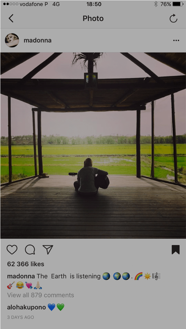 Canopy (950x1080), Png Download