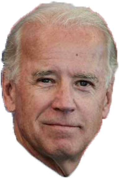 Created With Raphaël - Joe Biden Quotes About Failure (427x600), Png Download