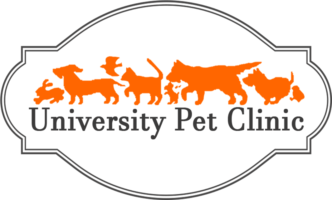University Pet Clinic (1080x684), Png Download