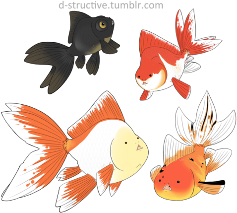 Goldfish (500x447), Png Download