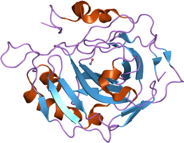 Pdb 2nwo Ebi - Database (800x600), Png Download