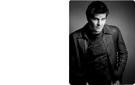 "as Far As Vampires Go You're Pretty Cuddle-y - David Boreanaz (483x348), Png Download