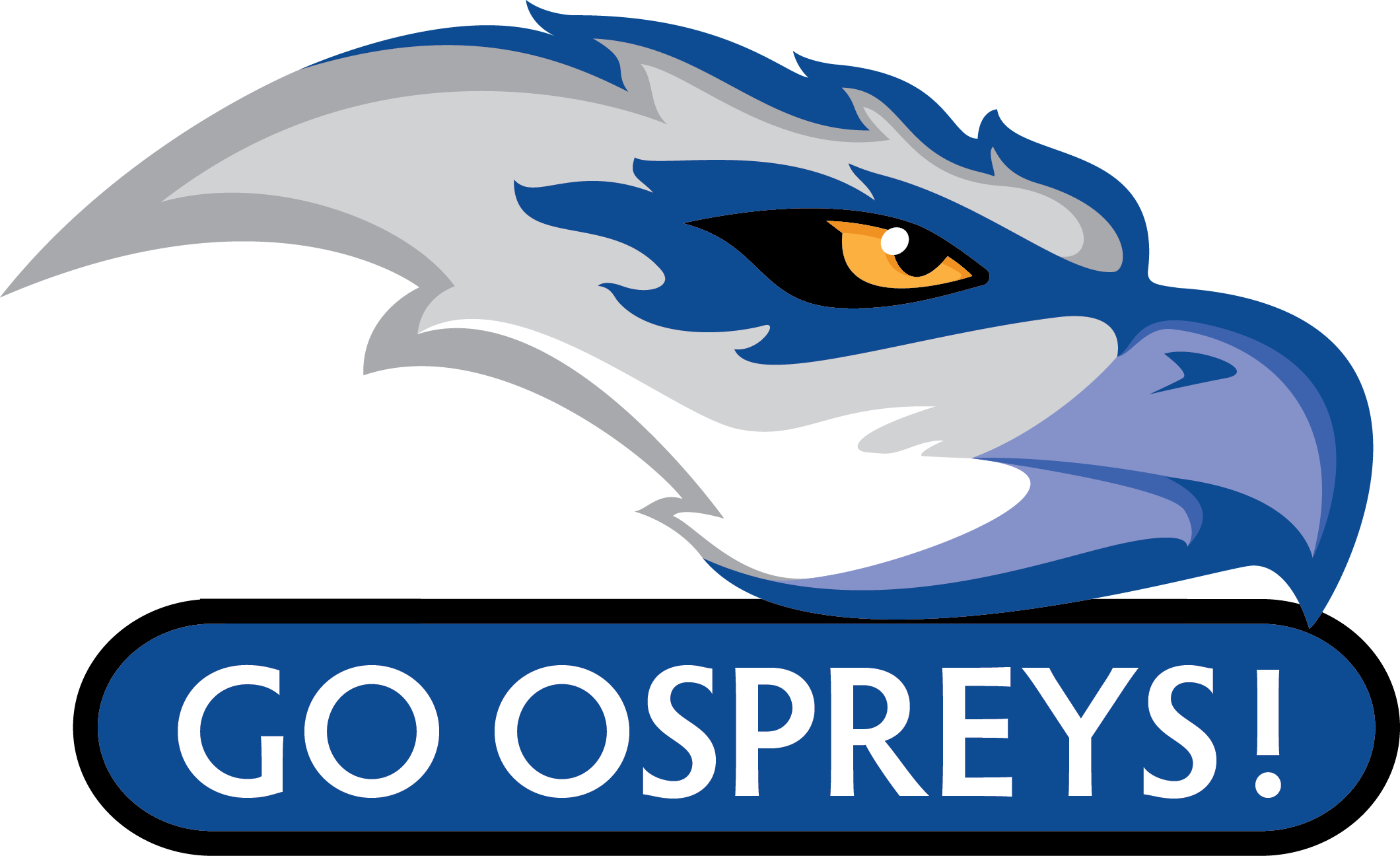 Logos - Rcc Ospreys (2120x1296), Png Download