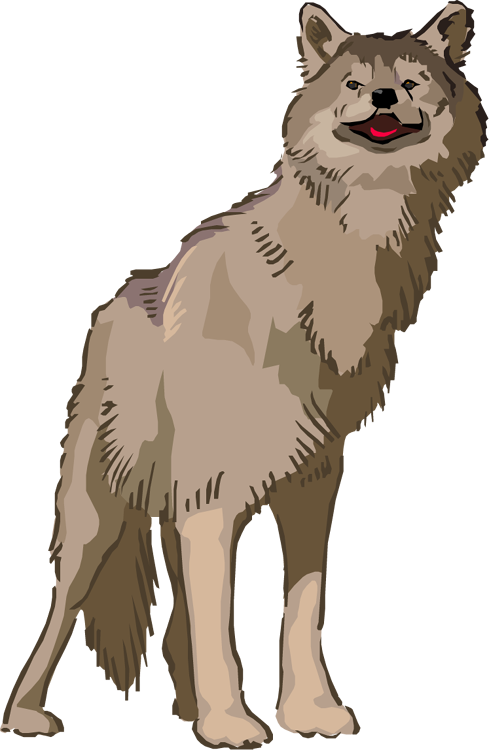 Animated Wolf Clipart - Wolf Clipart Animed (490x750), Png Download