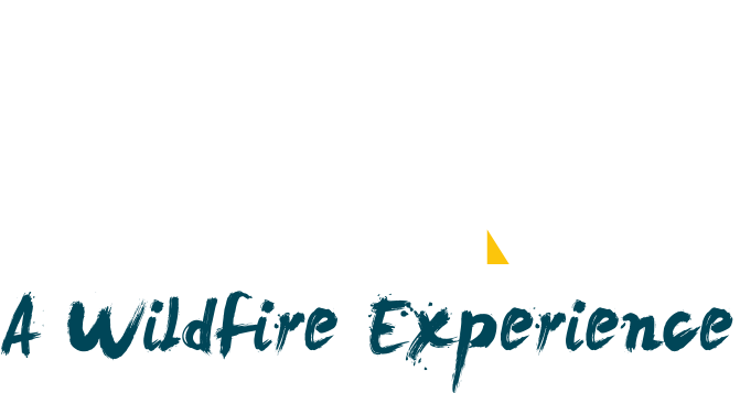 Logo Logo Logo Logo - Force Is Strong With This One Quote (700x400), Png Download