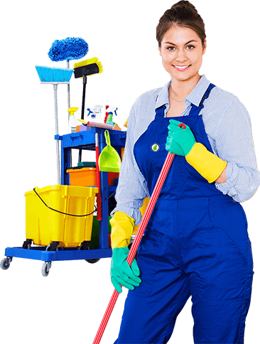 United States Of America (366x484), Png Download