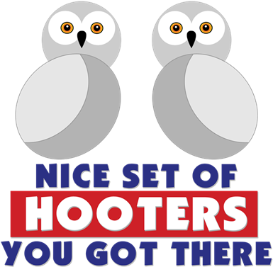 Nice Set Of Hooters You Have There - Nice Tits Sign (400x400), Png Download
