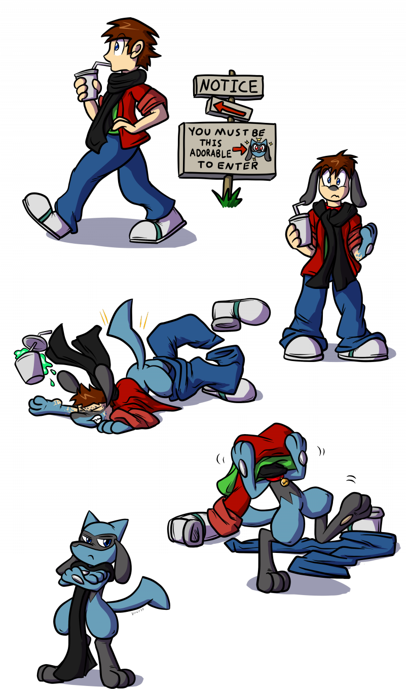 Riolu Zone - Riolu Transformation (800x1402), Png Download