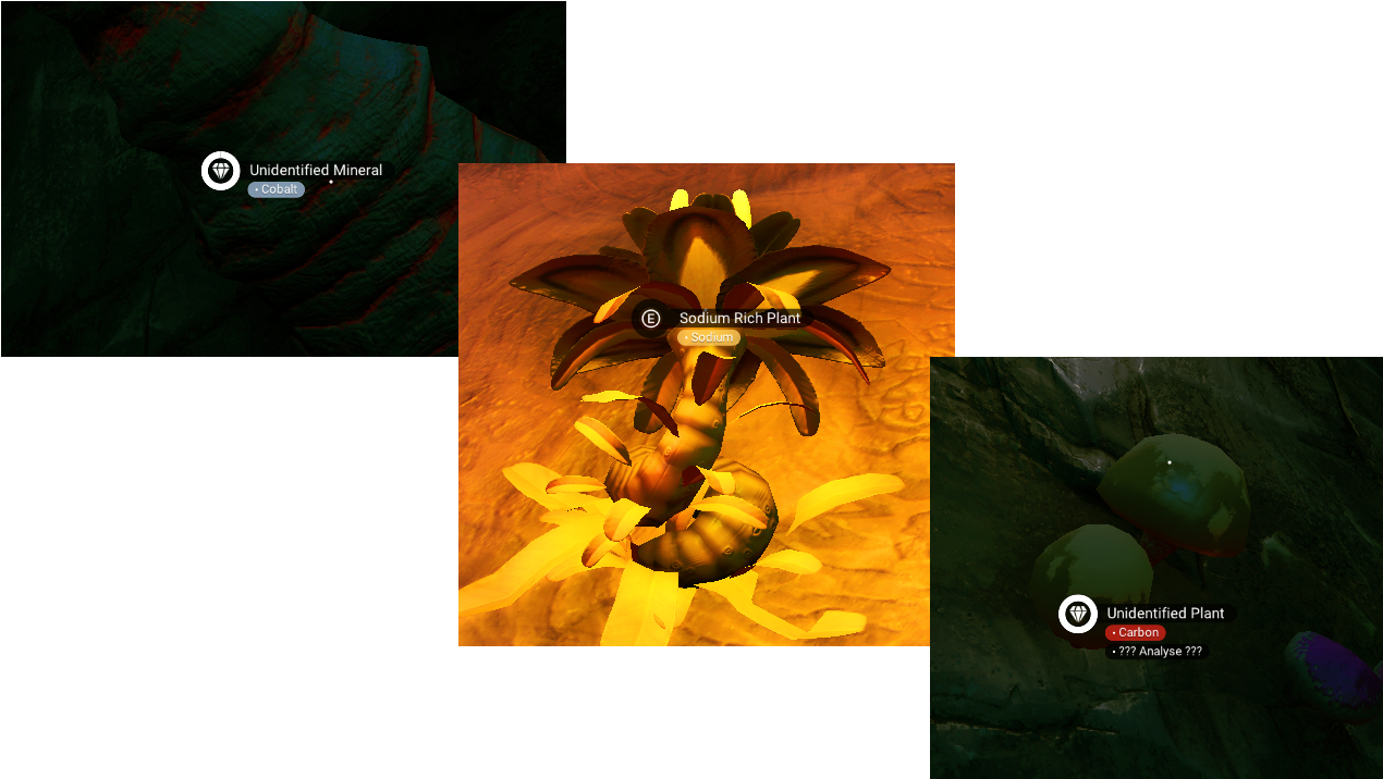 New Materials - Attalea Speciosa (1280x720), Png Download