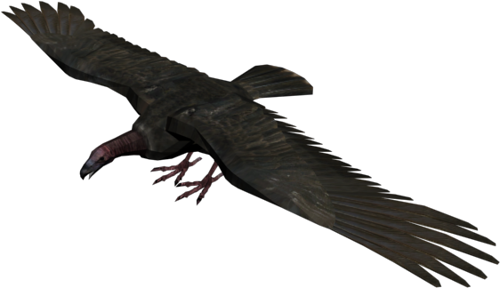 Buitre - Red Dead Redemption Vulture (640x480), Png Download