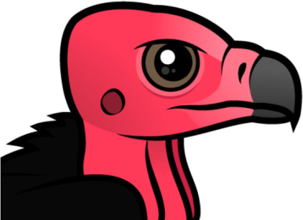 Red Headed Vulture Bird (640x480), Png Download