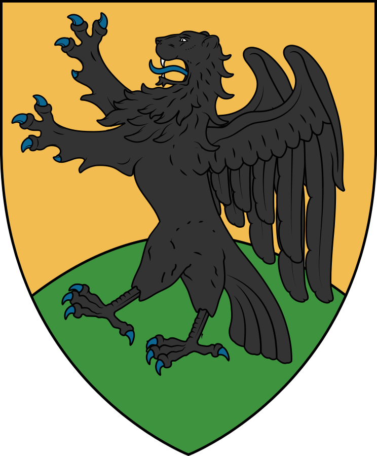 My Attempt At My Arms In Wappenwiki Style - Imgur Llc (744x899), Png Download