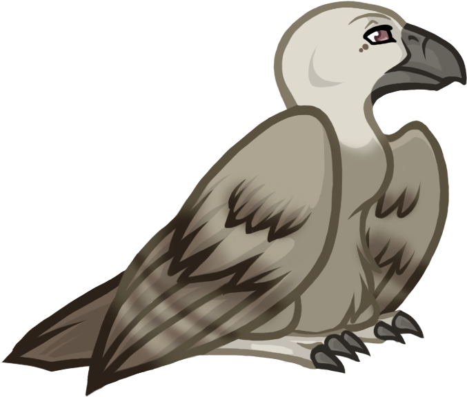 Photo Vulture - Eagle (750x700), Png Download