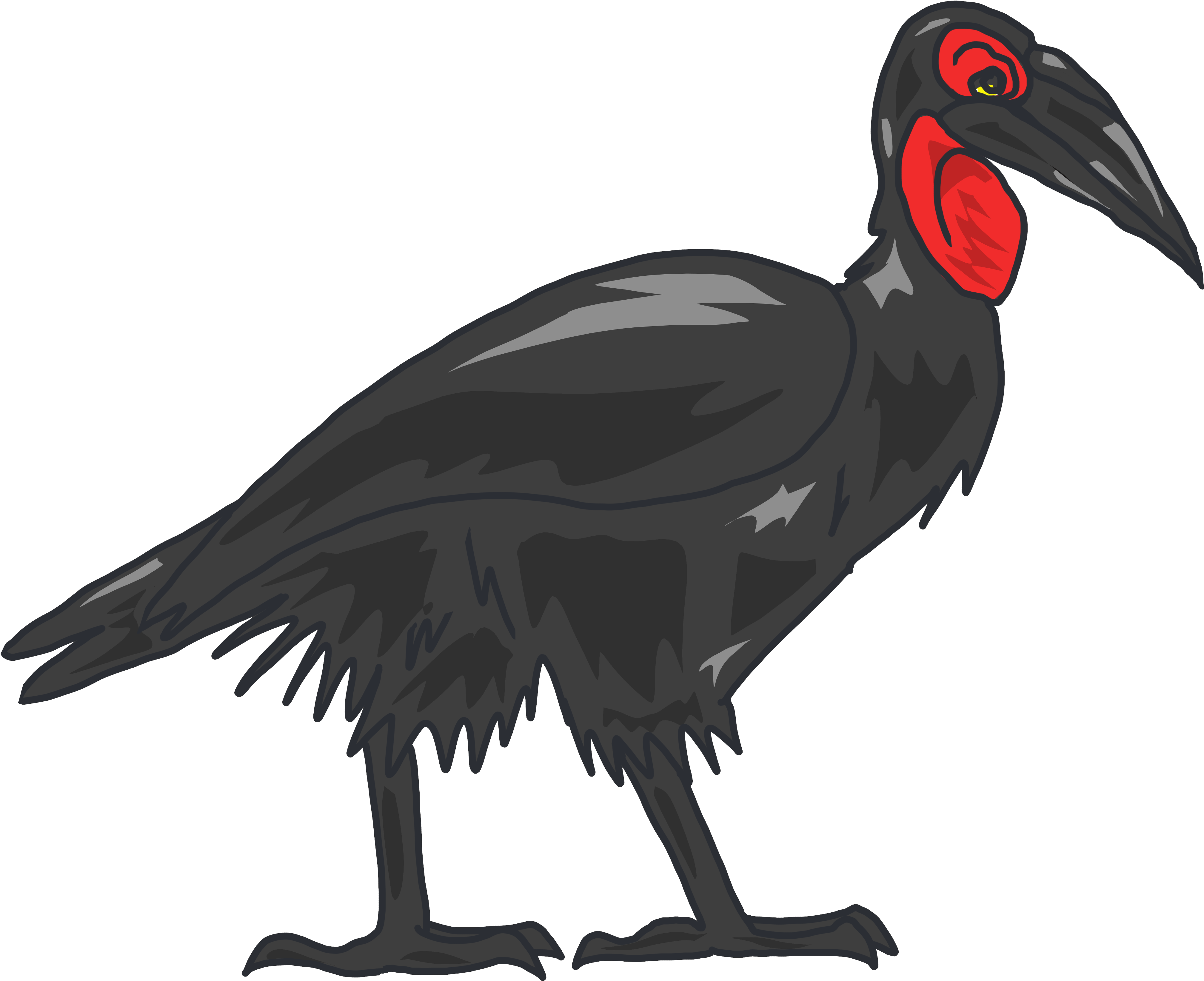 Ground Hornbill (4200x4200), Png Download