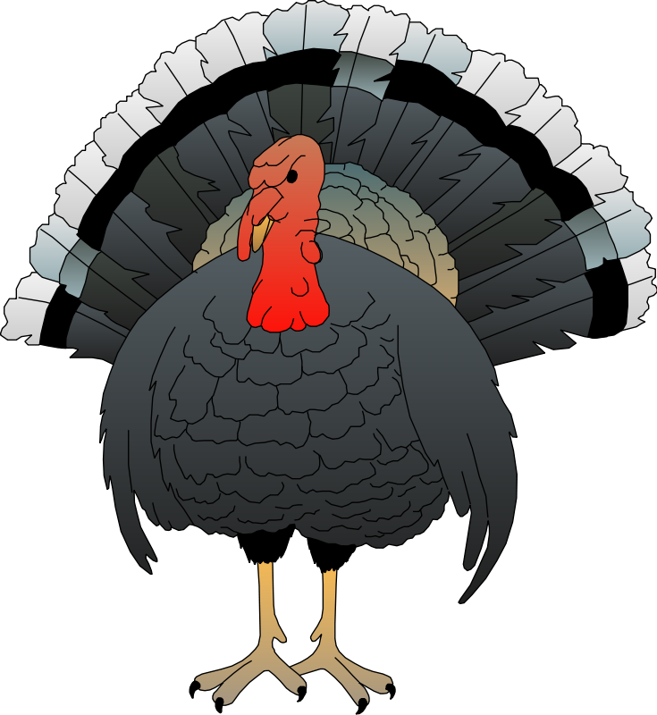 Bird 65 Free Vector - Erntedank Die Türkei Serviette (735x800), Png Download