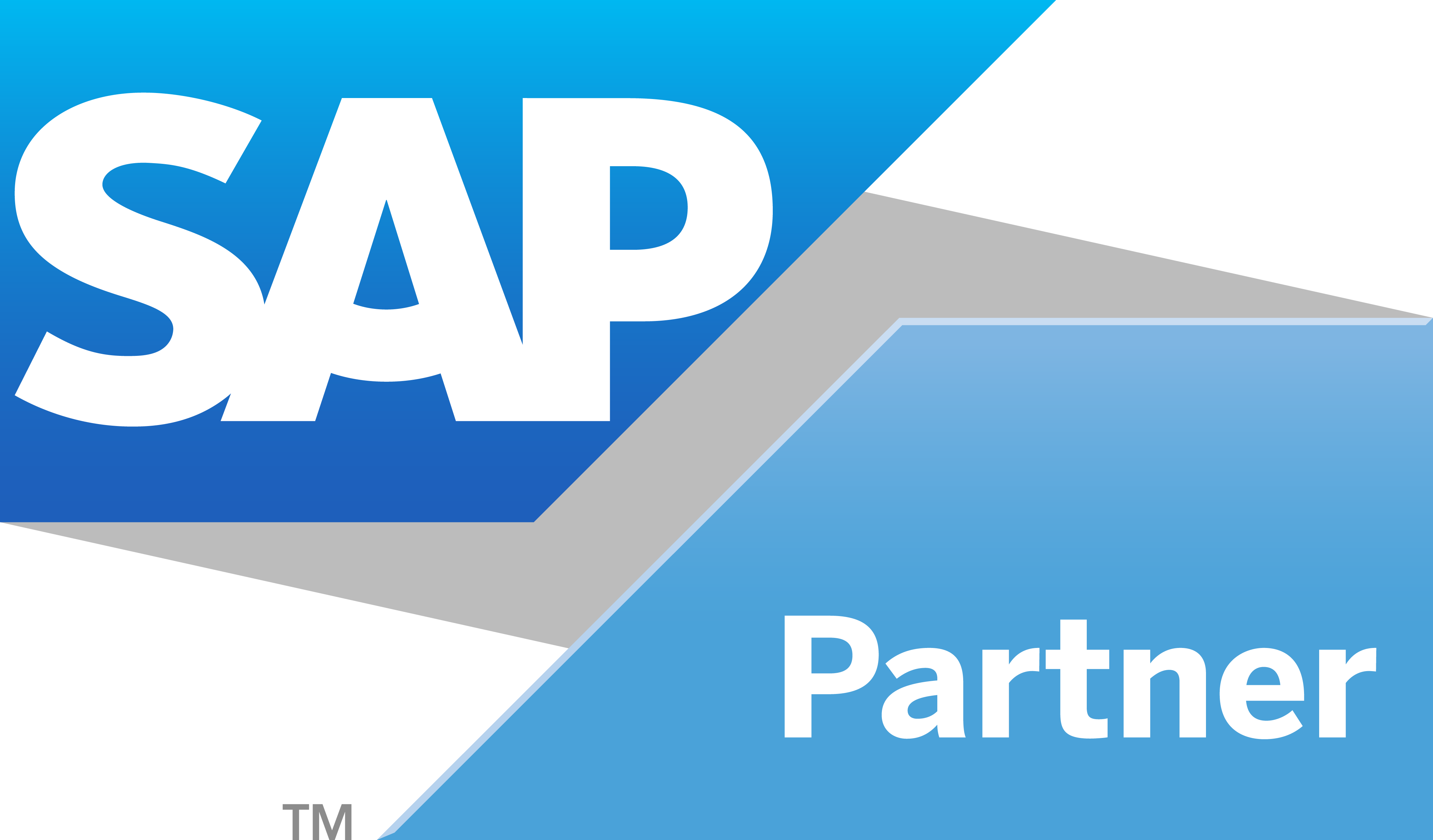 Sap Partner Logo (4267x2502), Png Download