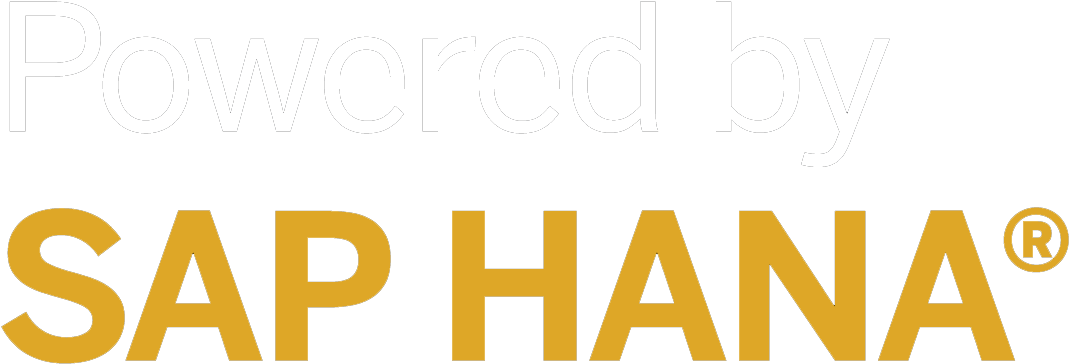 Google - S4 Hana (1245x547), Png Download