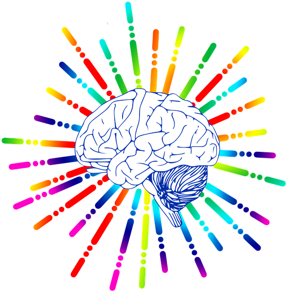 Brain, Icon, Star, Biology, Abstract, Cerebrum, Science - Structure Of Brain Throw Blanket (960x640), Png Download