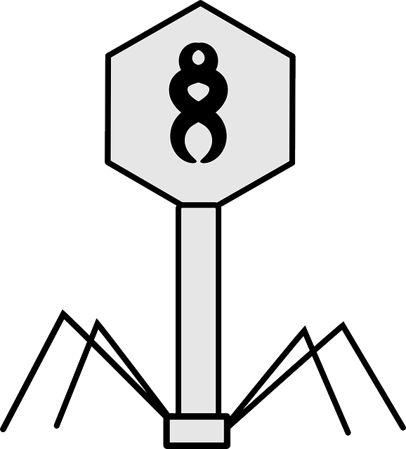 Virus, Bacteriophage, Science, Biology, Structure - Virus Clipart Black And White (578x640), Png Download