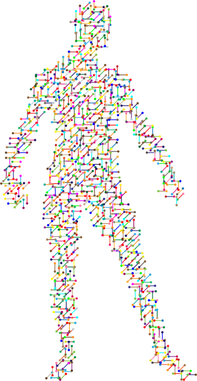 Molecule Molecular Biology Genetics Genealogical Sources - Genetics Biology (387x750), Png Download