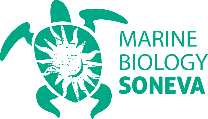 Marine Biology At Soneva The Science And Beauty Of - Marine Biologist Logo (693x399), Png Download