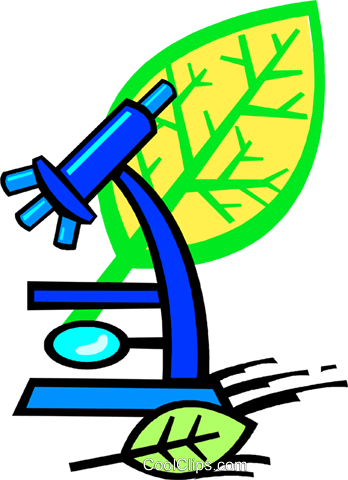 Biology Clipart Cell Biology - Biology Clipart (348x480), Png Download