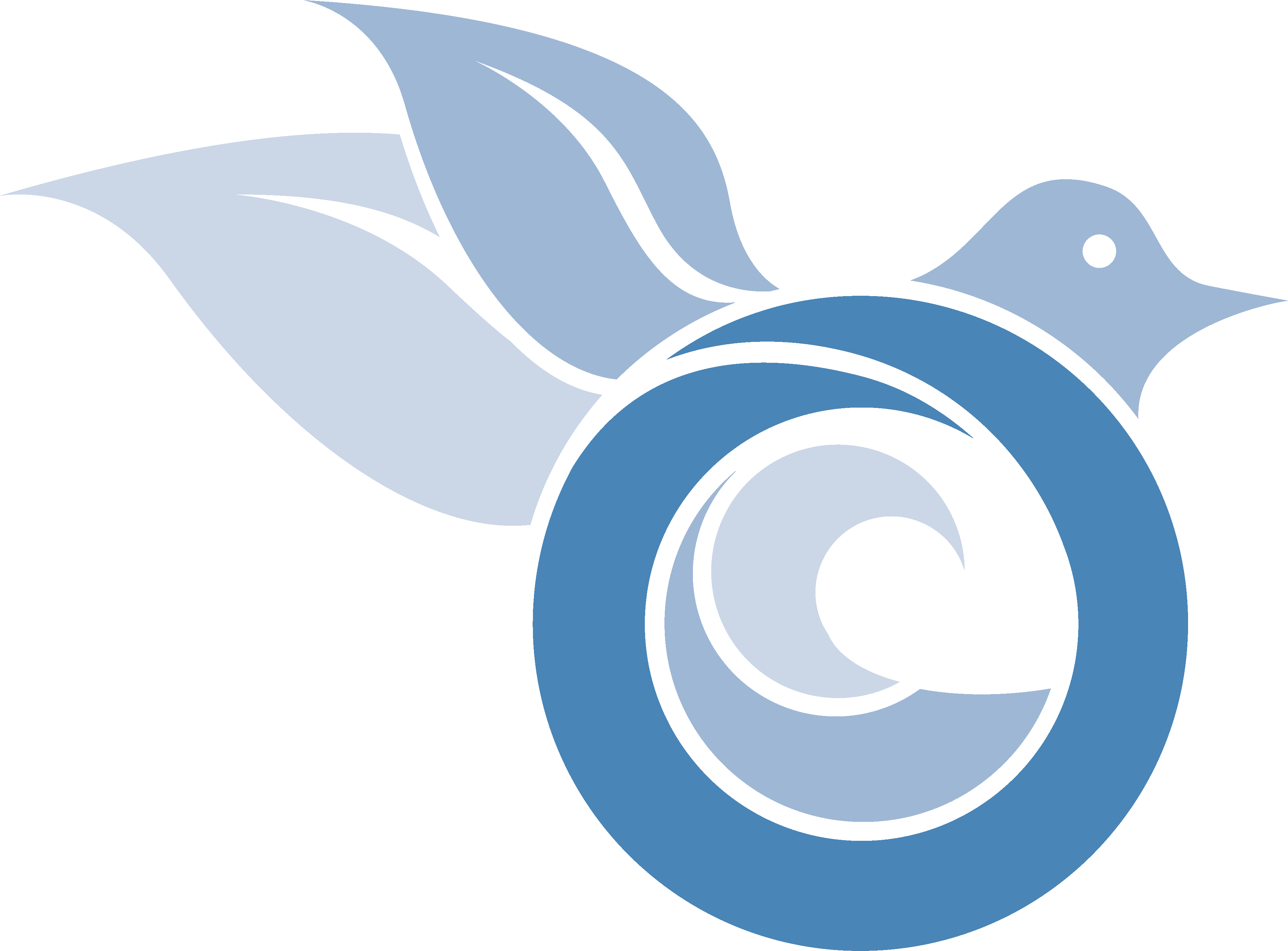 Society For Conservation Biology (3878x2923), Png Download