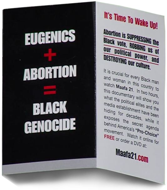 All Black Lives Matter Cards - Pamphlet On Black Lives Matter (800x649), Png Download