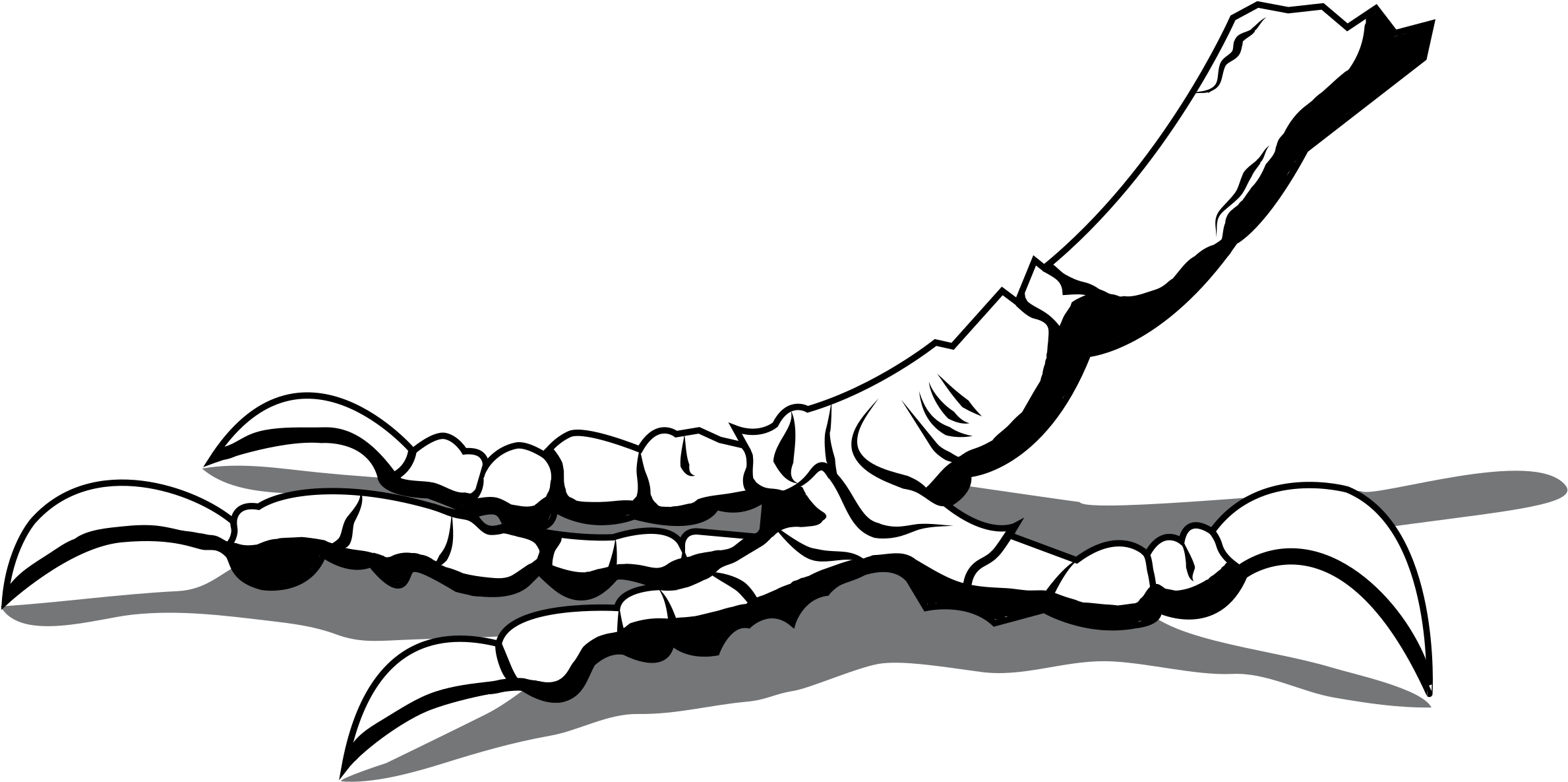 Claws Clipart Leg - Crow Feet Drawing (2400x1220), Png Download